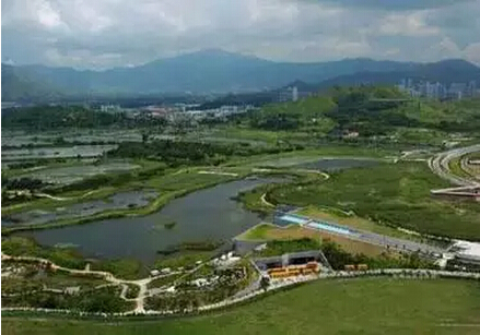 a015.jpg