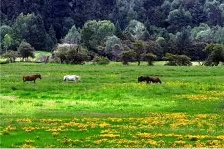 a016.jpg