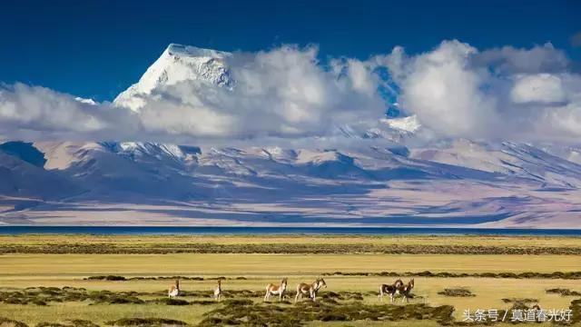 阿里秋色绚烂,九月的西藏最值得去玩的地方