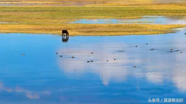 阿里秋色绚烂,九月的西藏最值得去玩的地方